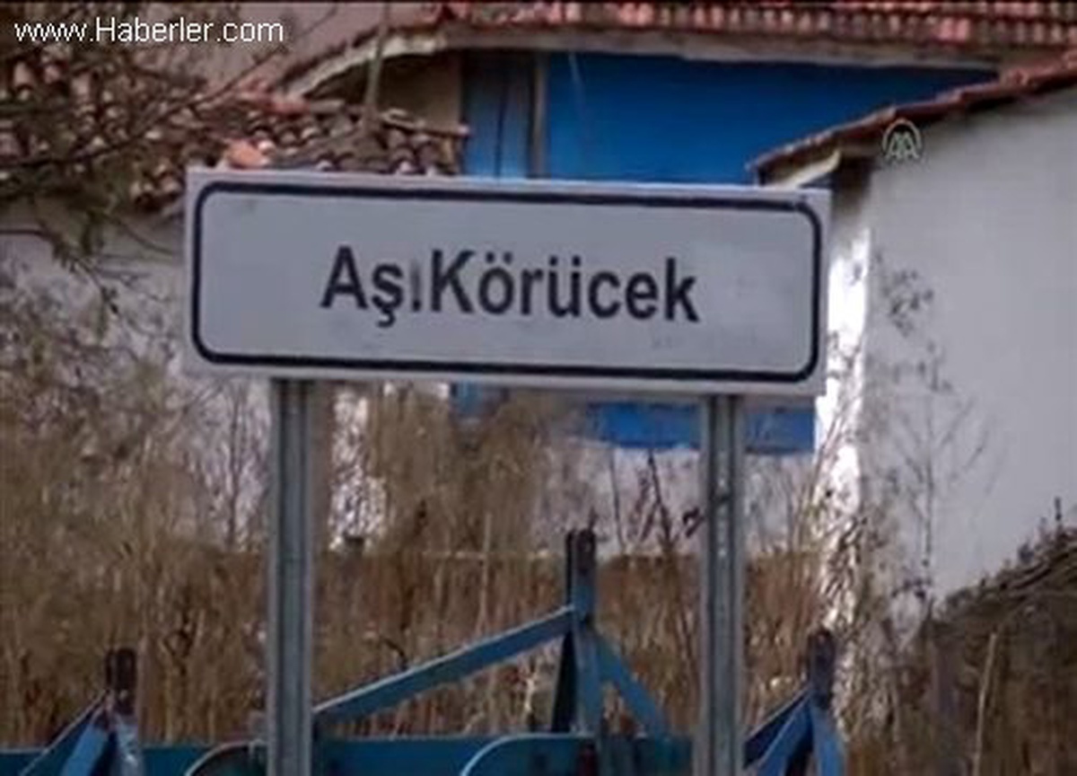Arazi anlaşmazlığı kavgası zanlı tutuklandı