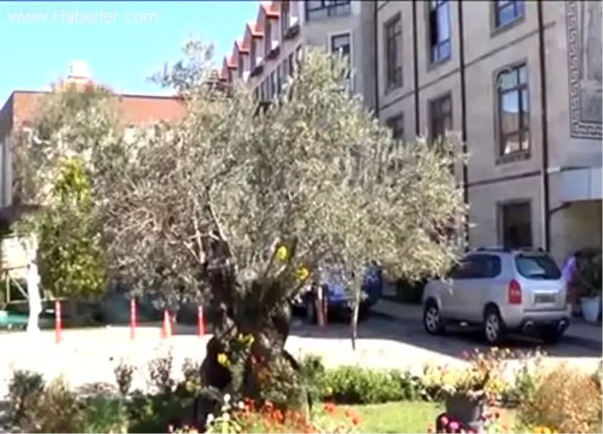 Bayram tatili Edremit Körfezi\'ndeki turizmcinin yüzünü güldürdü