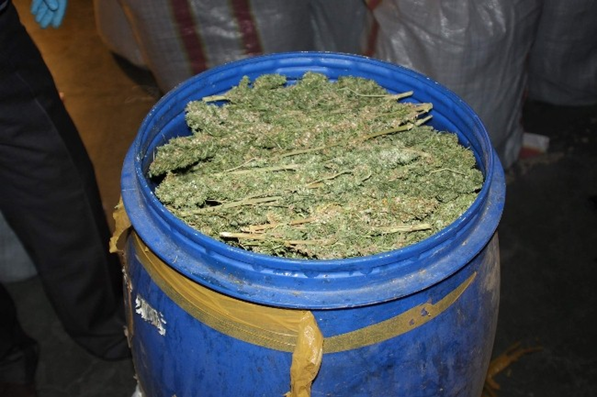 Gaziantep\'te 315 Kilo Esrar Ele Geçirildi