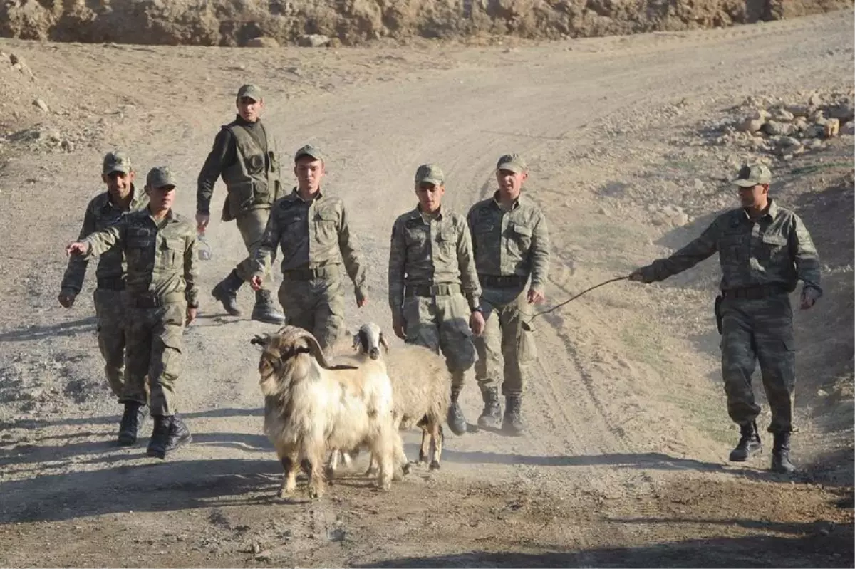 Gomane'de Dağı'nda Mehmetçik'in Bayram Coşkusu