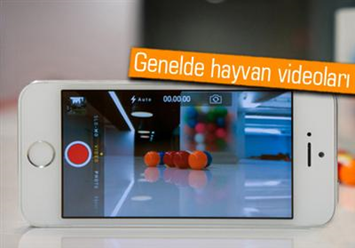 İnternetteki 3 Kişiden 1\'i İnternete Video Yüklüyor