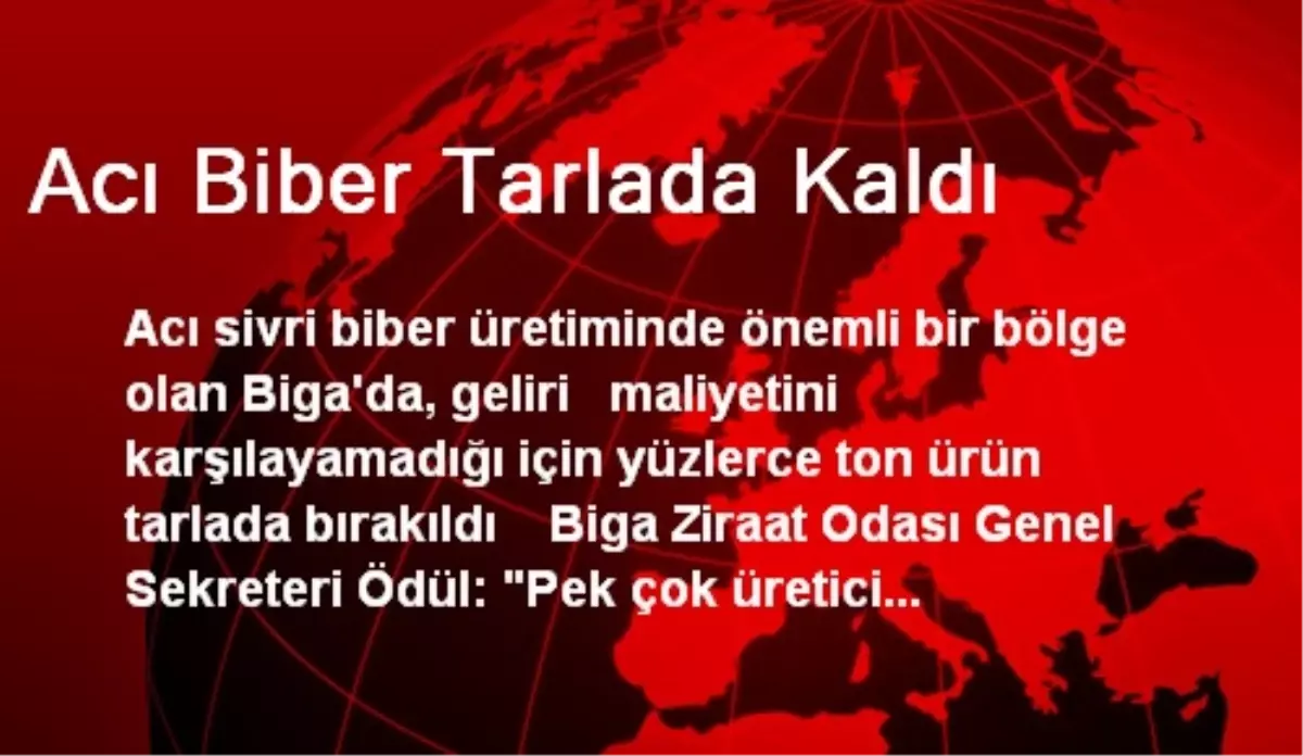 Acı Biber Tarlada Kaldı