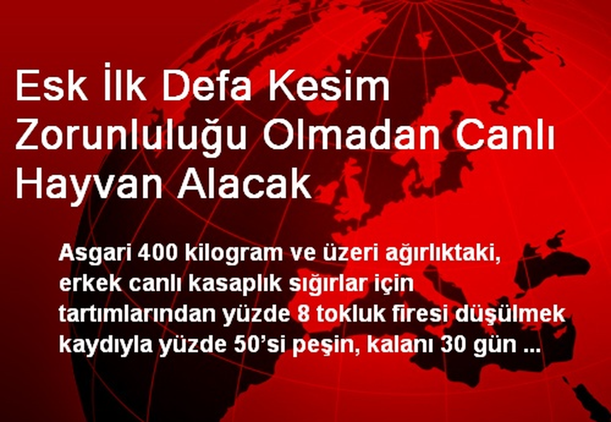 Esk İlk Defa Kesim Zorunluluğu Olmadan Canlı Hayvan Alacak