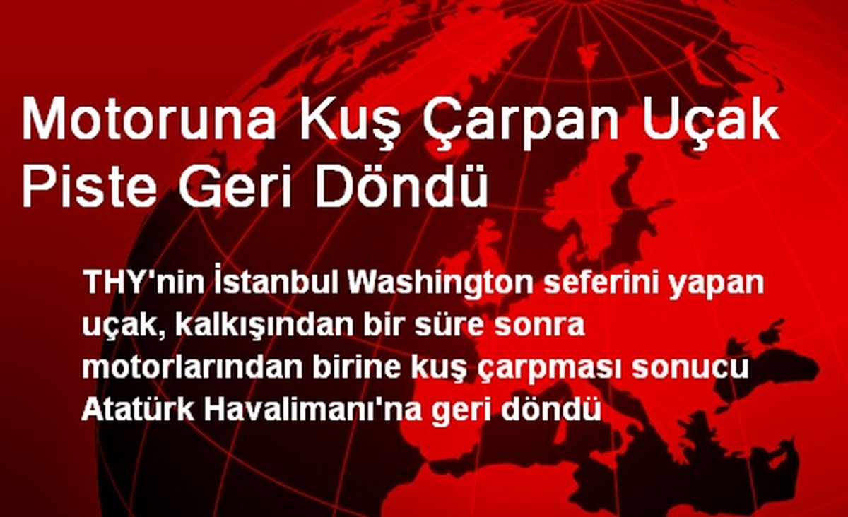 Motoruna Kuş Çarpan Uçak Piste Geri Döndü