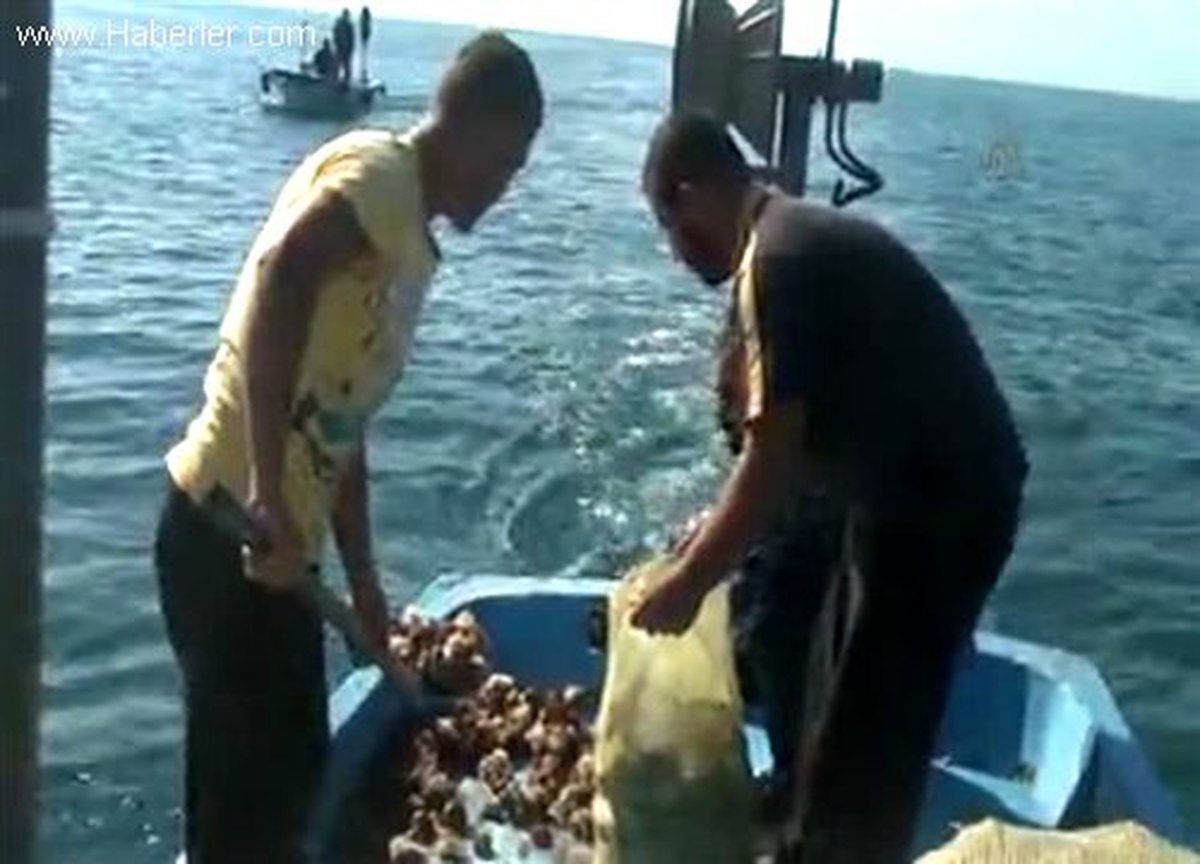 Uzak Doğu ülkelerine salyangoz ihraç ediyorlar