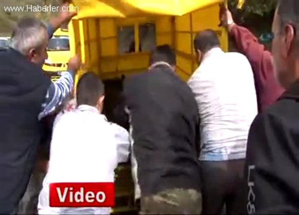 Zonguldak\'ta, Kaçan Boğa Bayramda Kesilmekten Kurtuldu