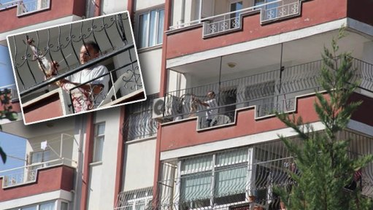 Balkonda Kurban Kesen Vatandaşa Ceza