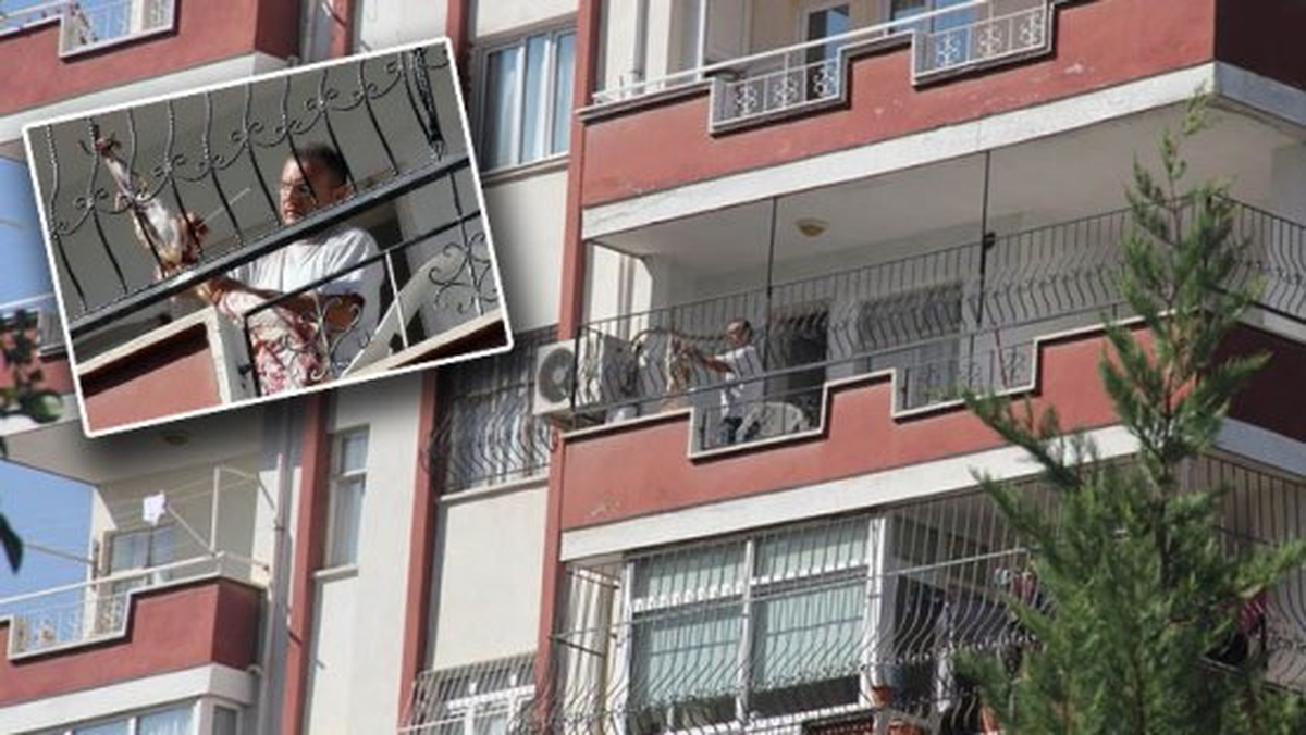 Balkonda Kurban Kesene Bin 12 Lira Ceza