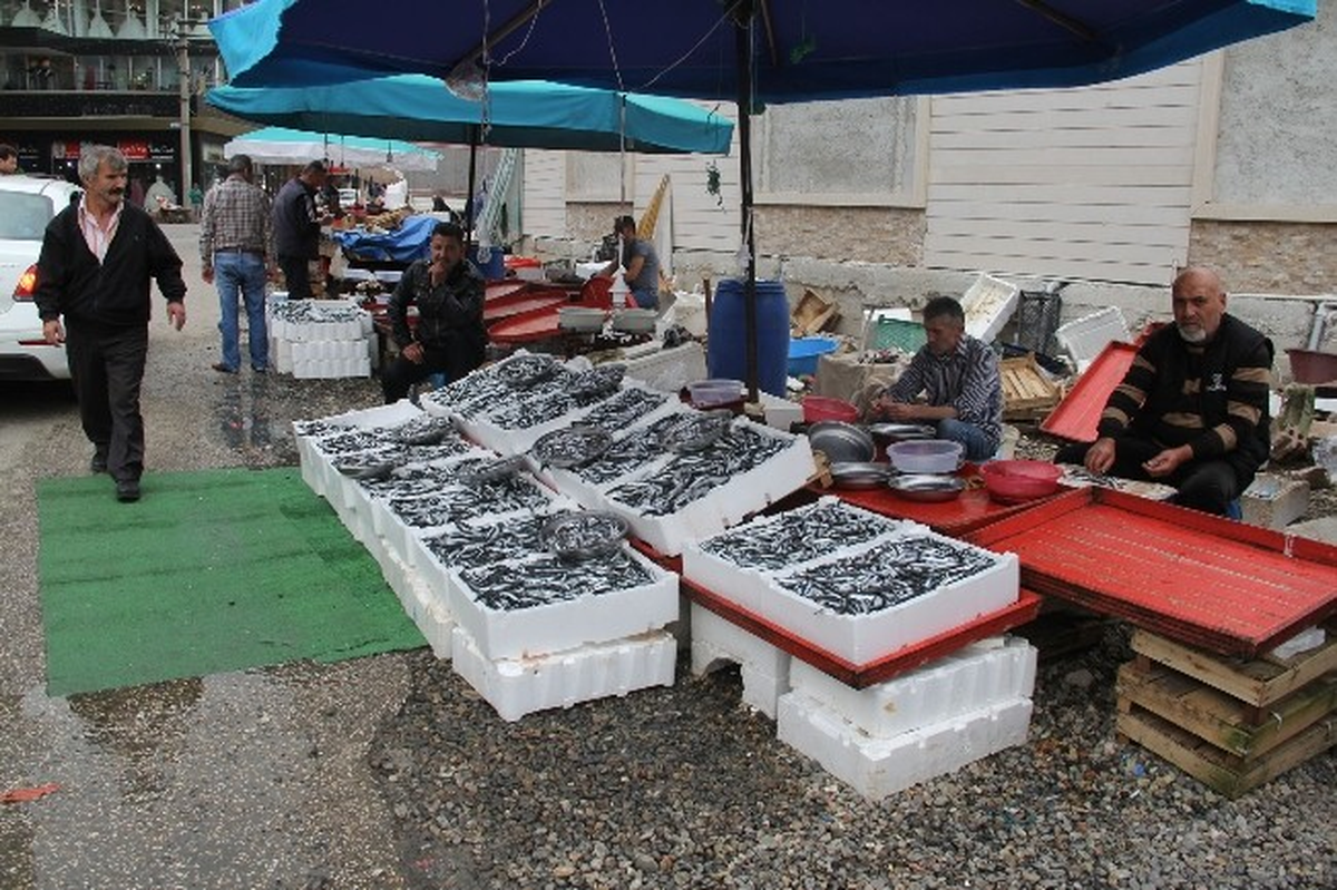 Hamside Bayram Fiyatı