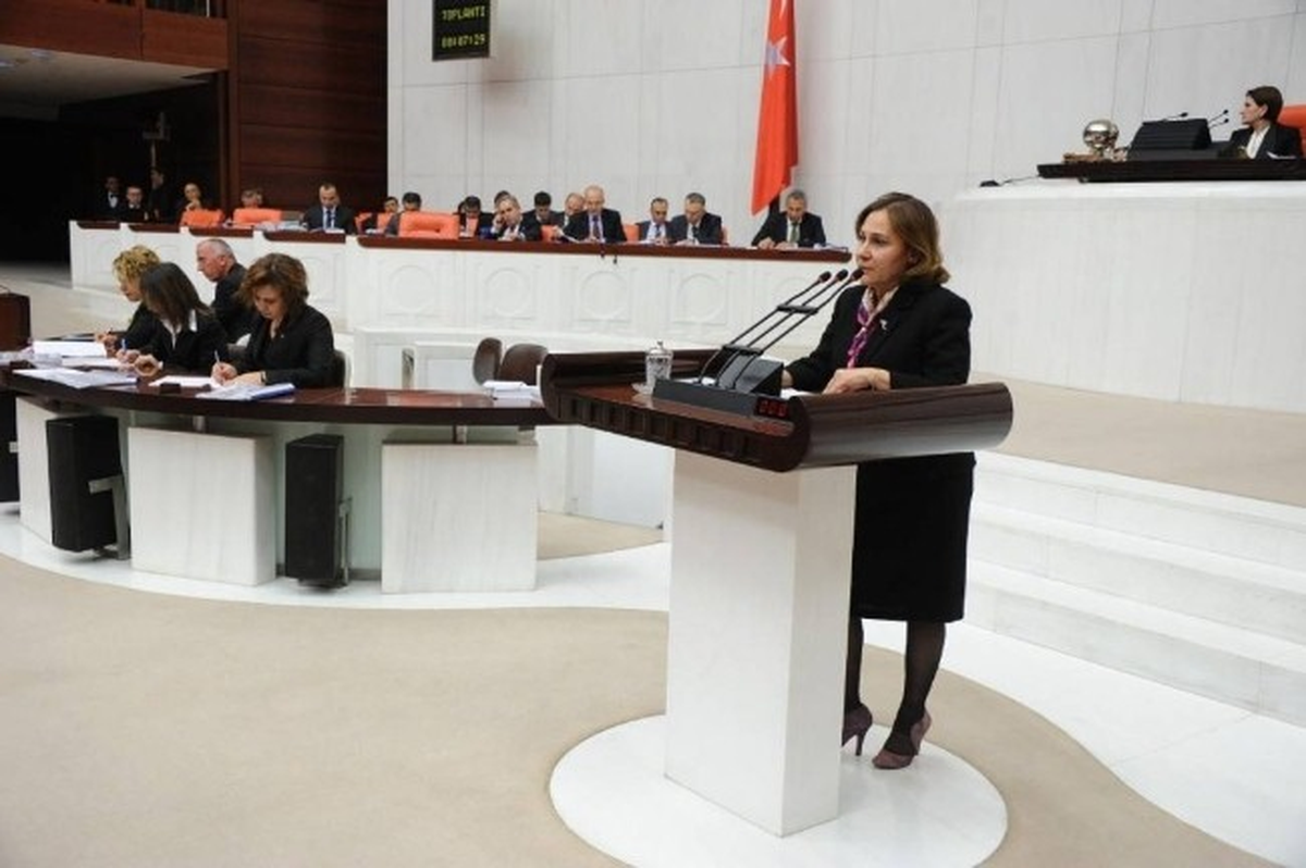 İnegöl\'ün Kirli Dereleri TBMM Gündeminde
