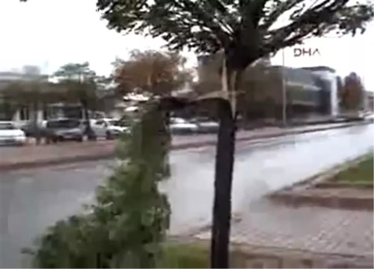 Keşişleme Esen Rüzgar Kayseri'de Ağaçları Kırdı