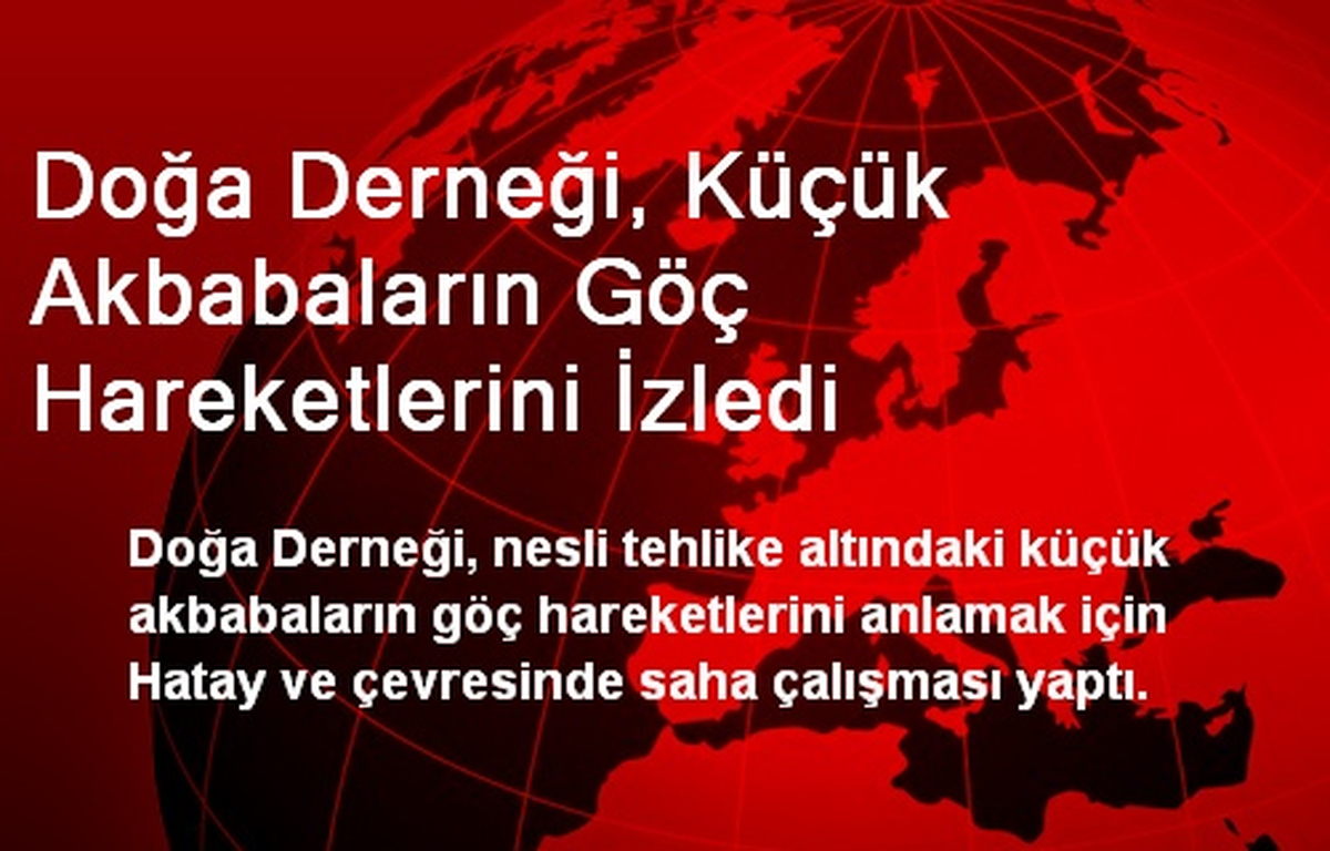 Doğa Derneği, Küçük Akbabaların Göç Hareketlerini İzledi