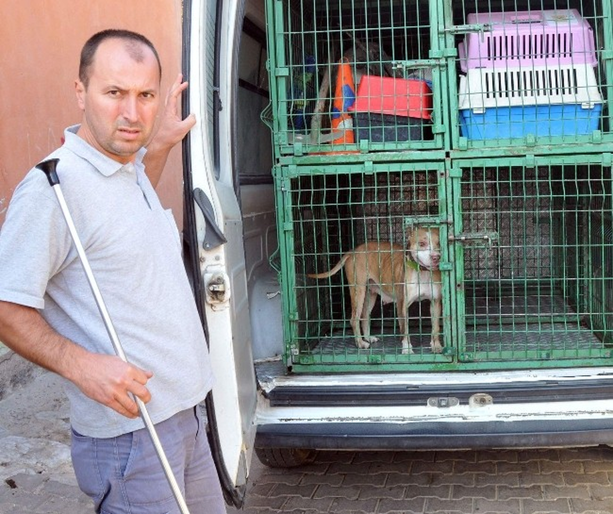 (Özel Haber) Cami Avlusunda Pitbull Dehşeti
