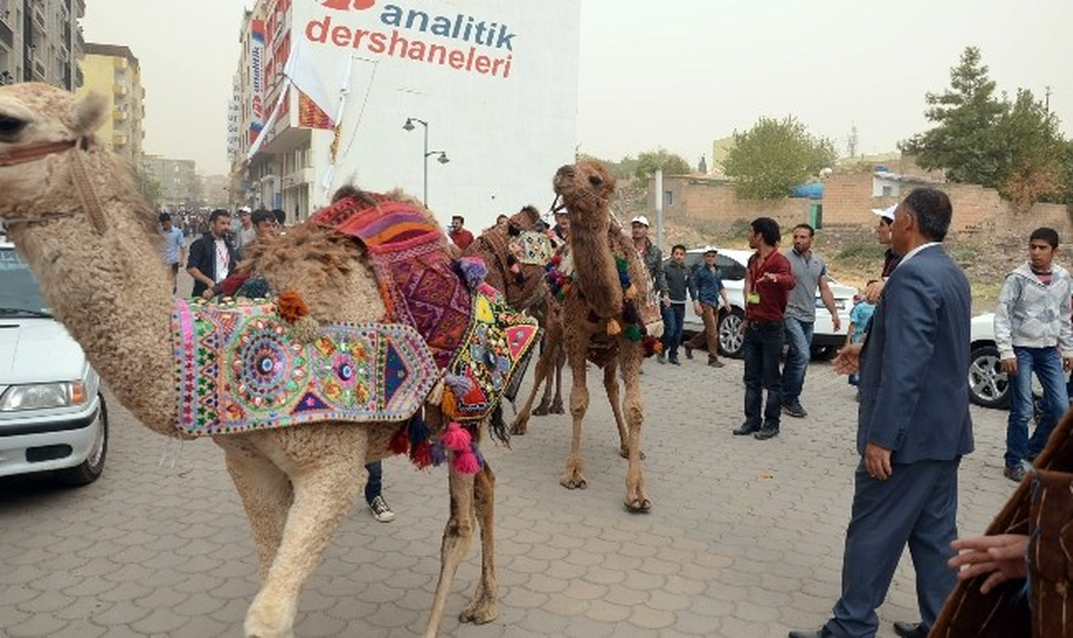 Viranşehir\'de "Karacadağ Kaltür ve Sanat Festivali"