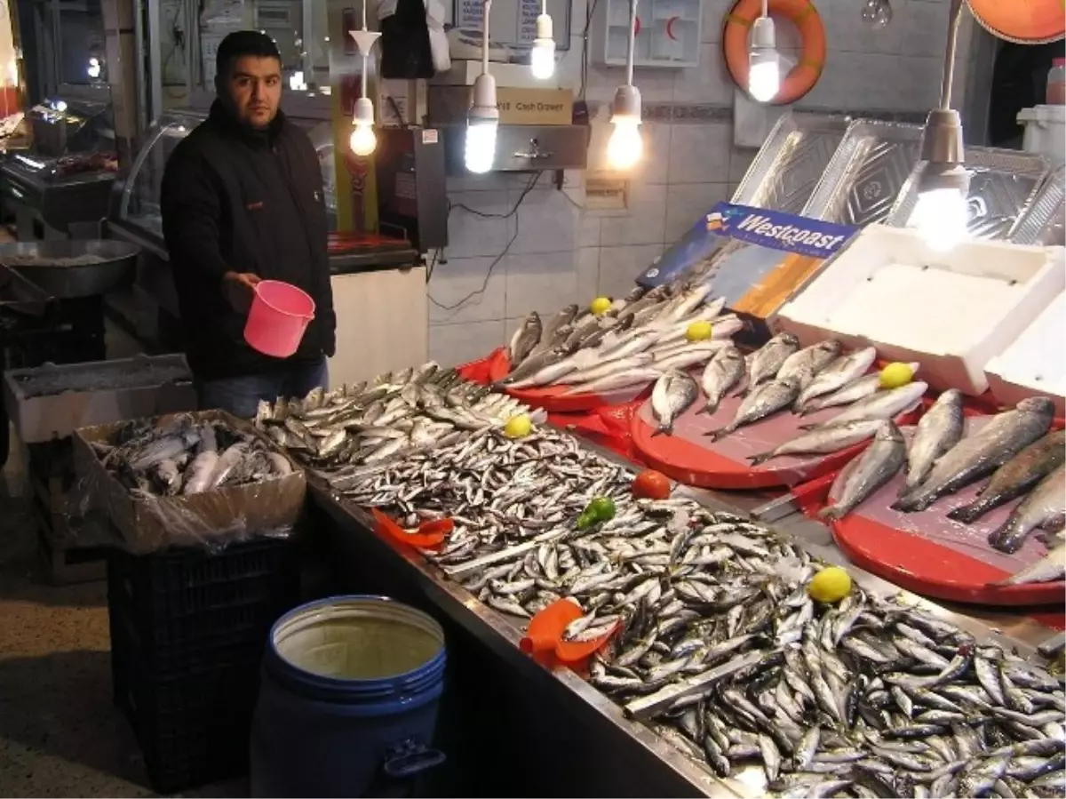 Balık Satışları Durgun