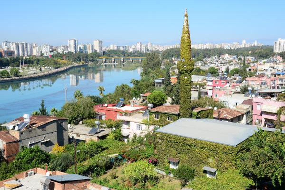83 Yıllık Yeşil Cami Botanik Bahçesi Gibi
