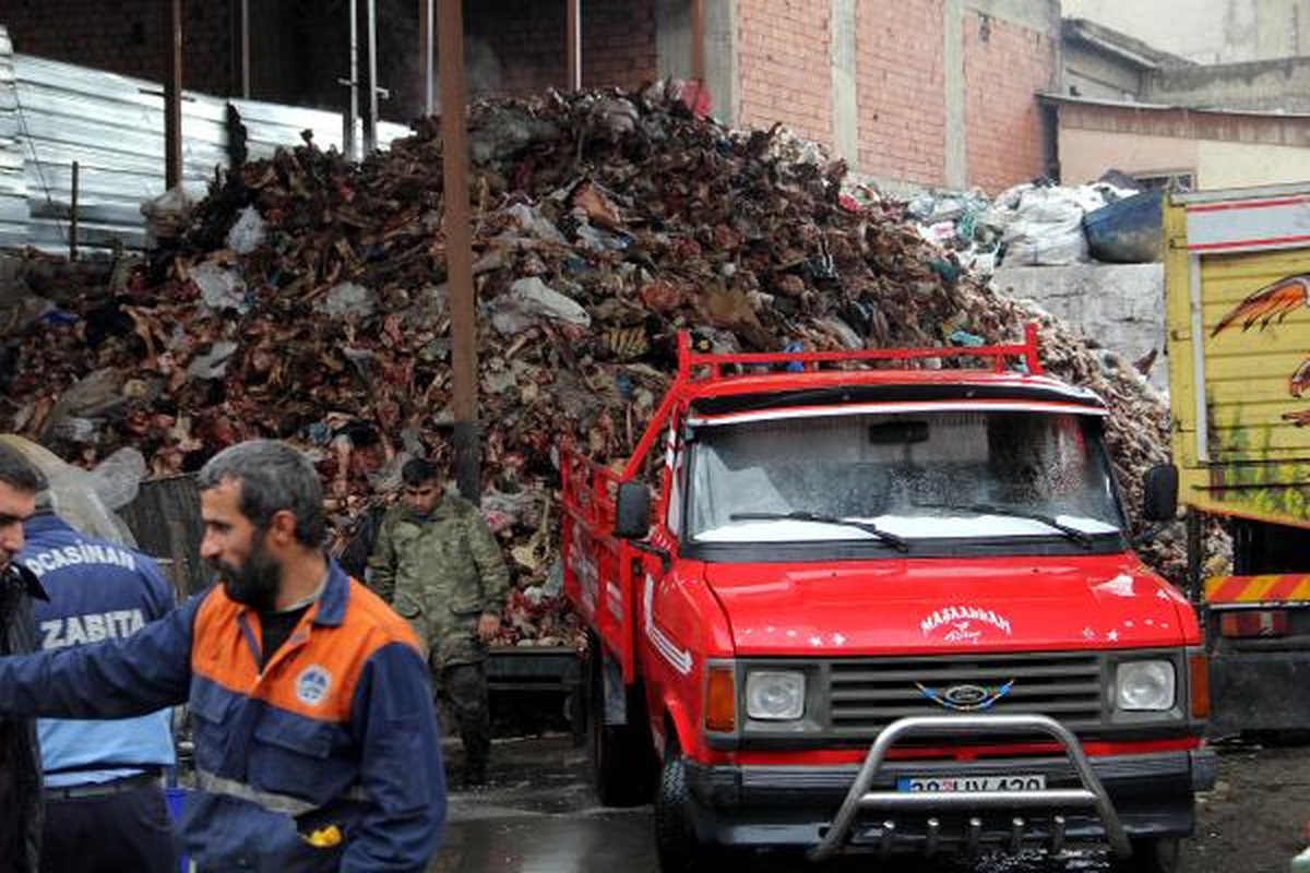 Hurdacıda Toplanan Kemikler Rahatsız Etti