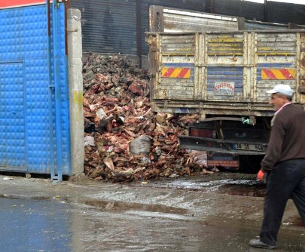 Bayramda Çöpe Atılan Kemikleri Hurdacılar Topladı