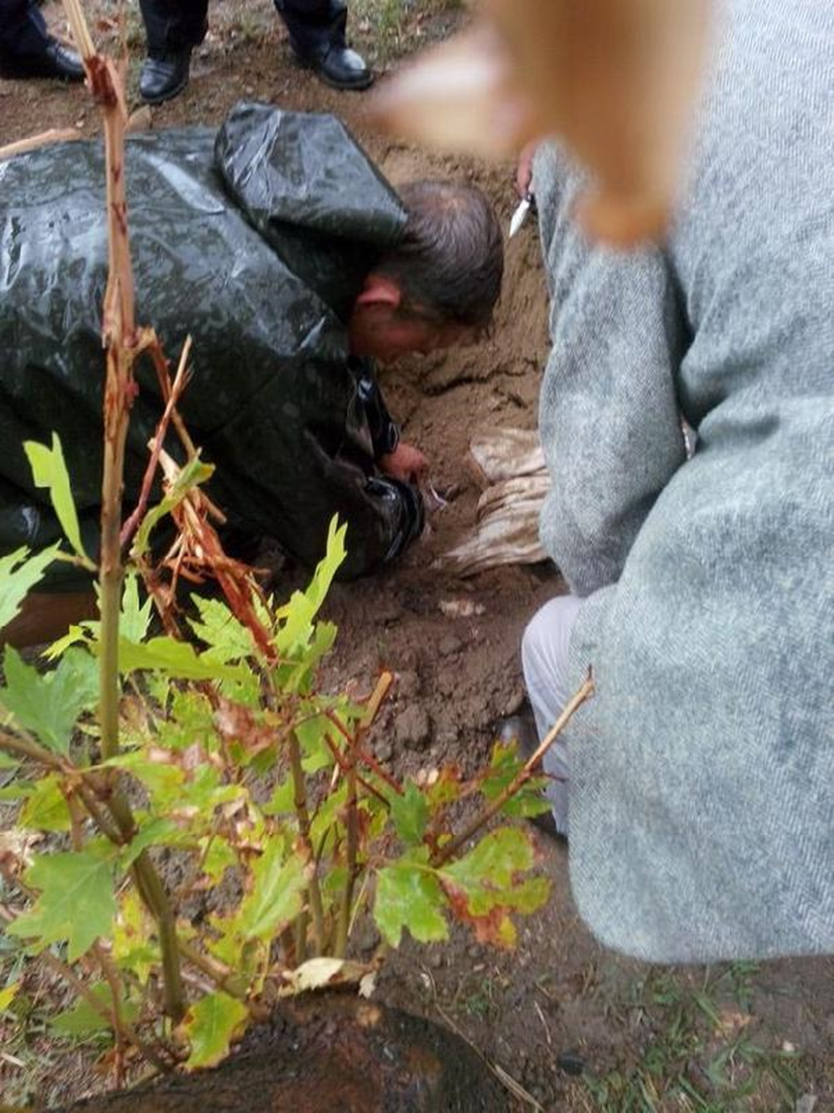 Mezardan Köpek Leşi Çıktı