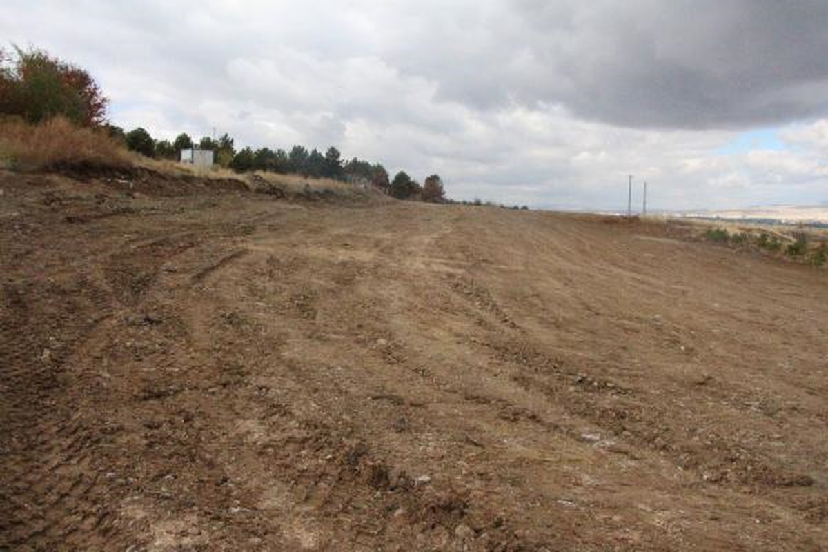 ODTÜ\'de Ağaç Sökme İşlemi Tamamlandı