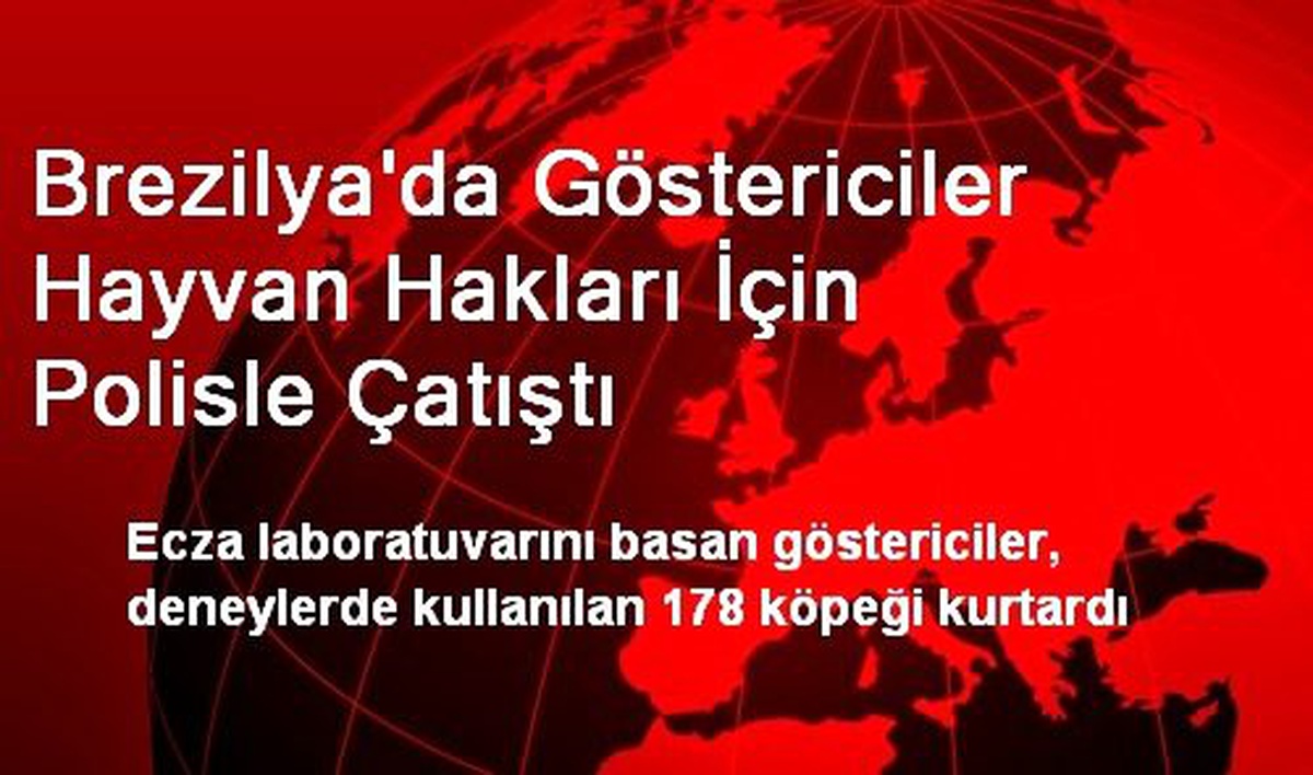 Brezilya\'da Göstericiler Hayvan Hakları İçin Polisle Çatıştı