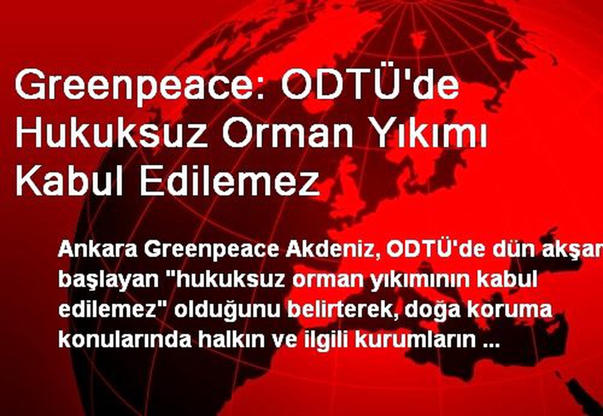 Greenpeace: ODTÜ\'de Hukuksuz Orman Yıkımı Kabul Edilemez