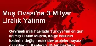 Muş Ovası'na 3 Milyar Liralık Yatırım