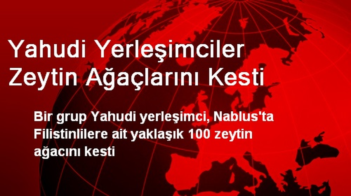 Yahudi Yerleşimciler Zeytin Ağaçlarını Kesti