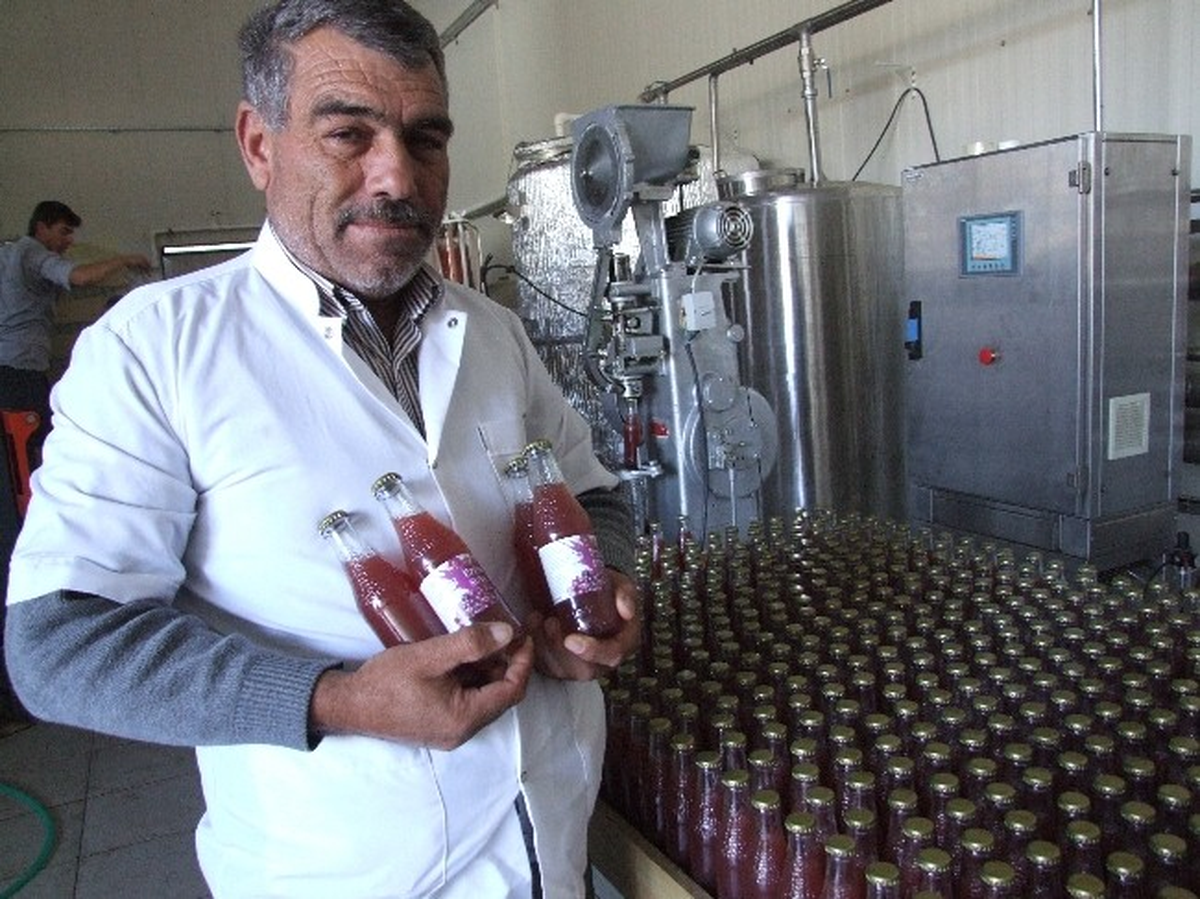Şaraptan Kazanamayınca Üzüm Suyu Ürettiler
