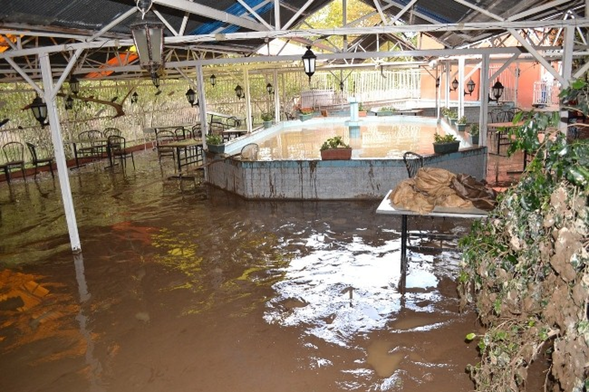 Zonguldak'ta 50 Bin Alabalık Dere Taşınca Telef Oldu