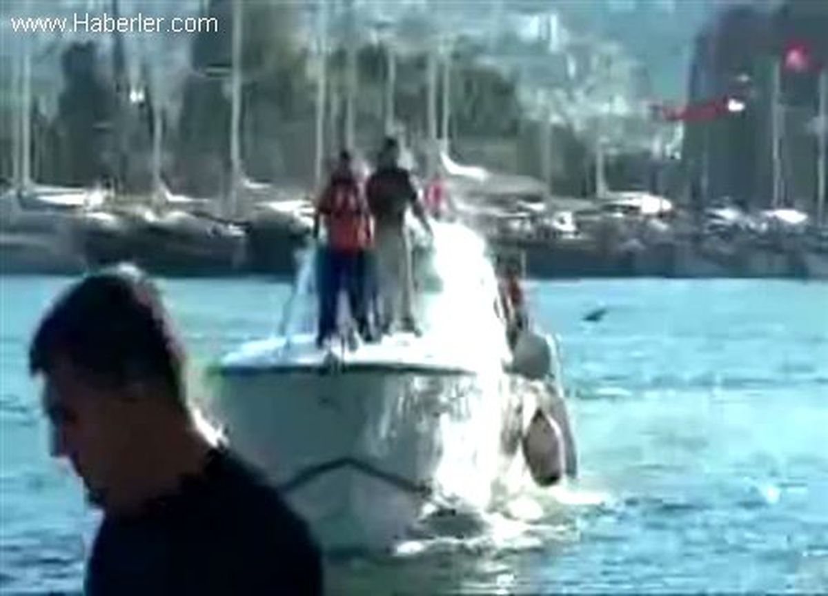 Bodrum\'da 12 Suriyeli Kaçak Yakalandı