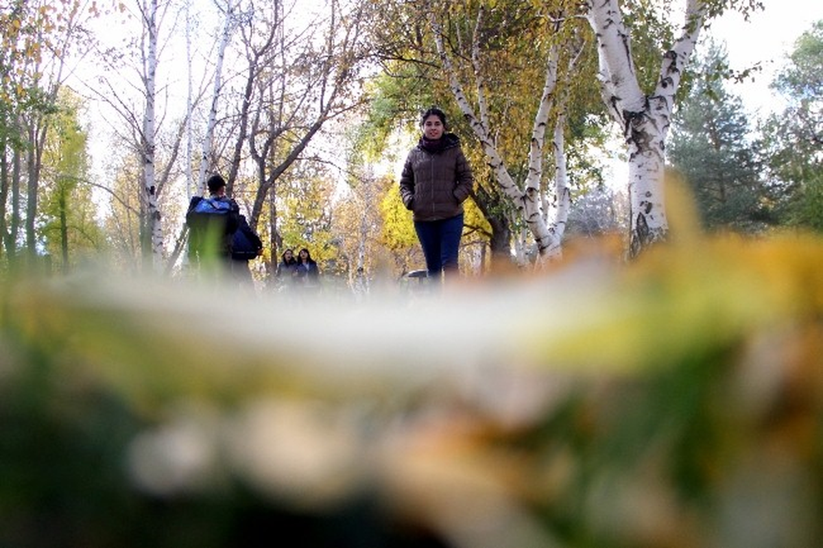 Erzurum\'da Sonbahar