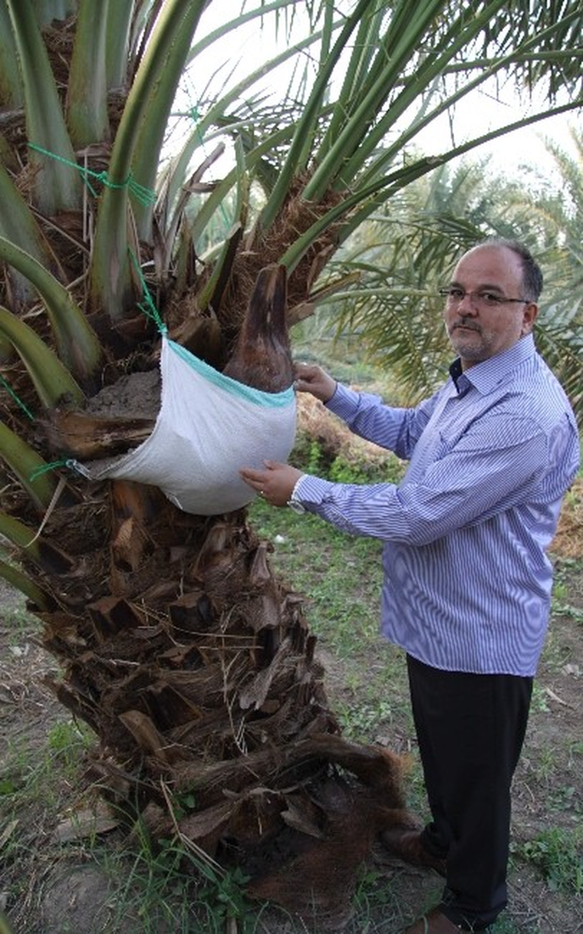 Hacı Adaylarına Hurma Uyarısı