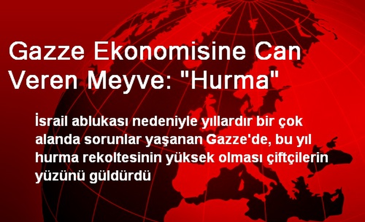 Gazze Ekonomisine Can Veren Meyve: 'Hurma'