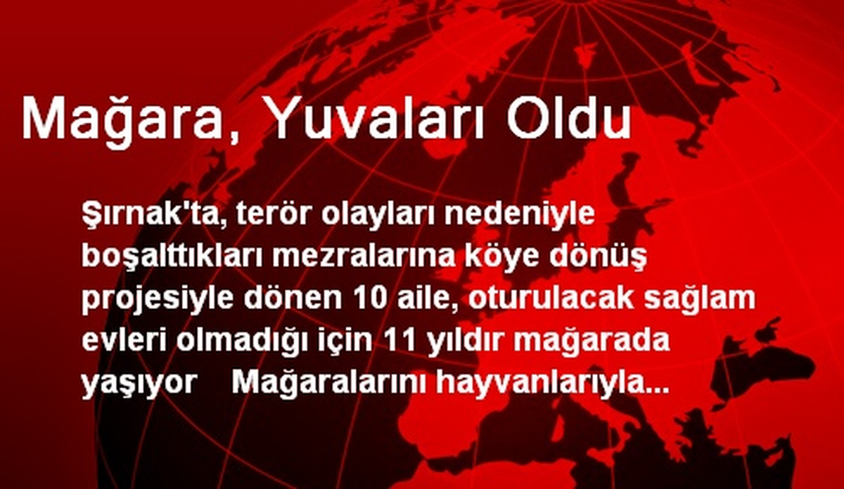 Mağara, Yuvaları Oldu