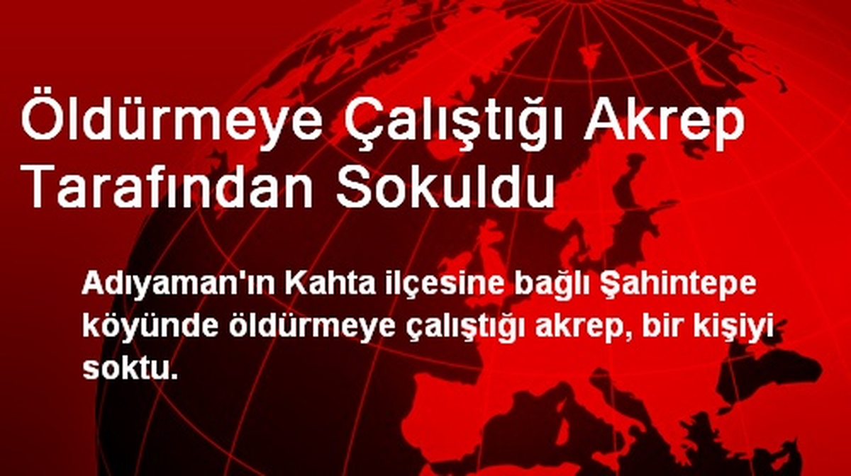 Öldürmeye Çalıştığı Akrep Tarafından Sokuldu