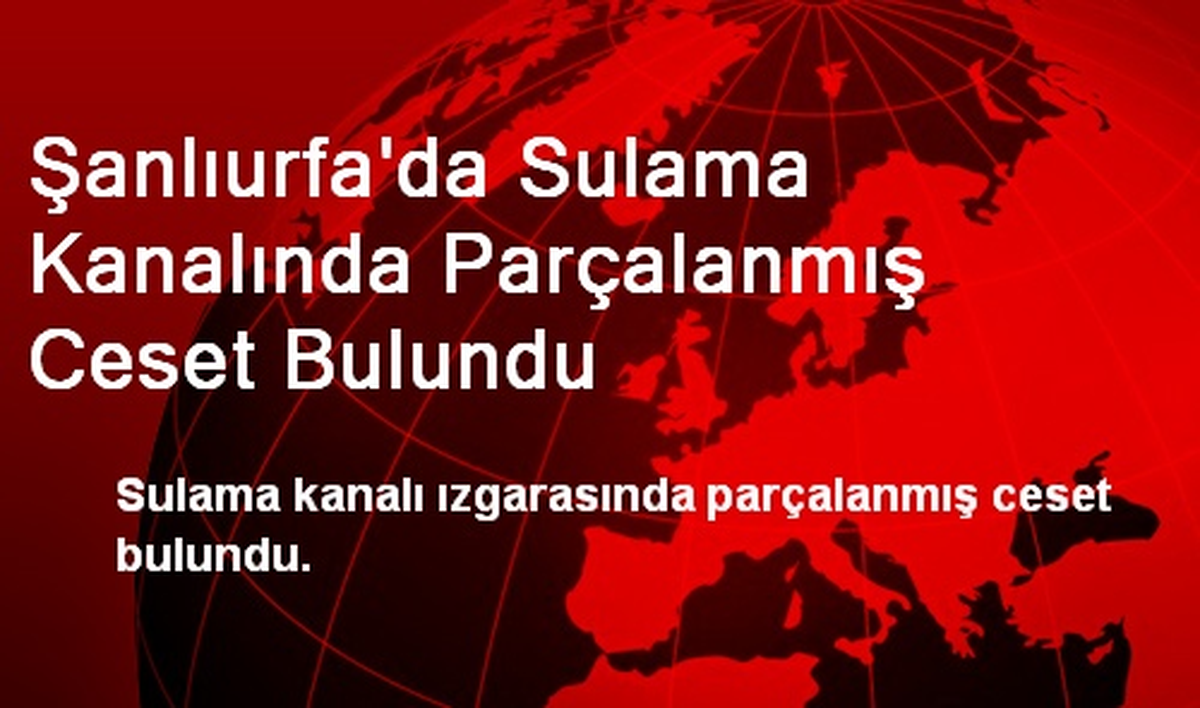 Şanlıurfa\'da Sulama Kanalında Parçalanmış Ceset Bulundu