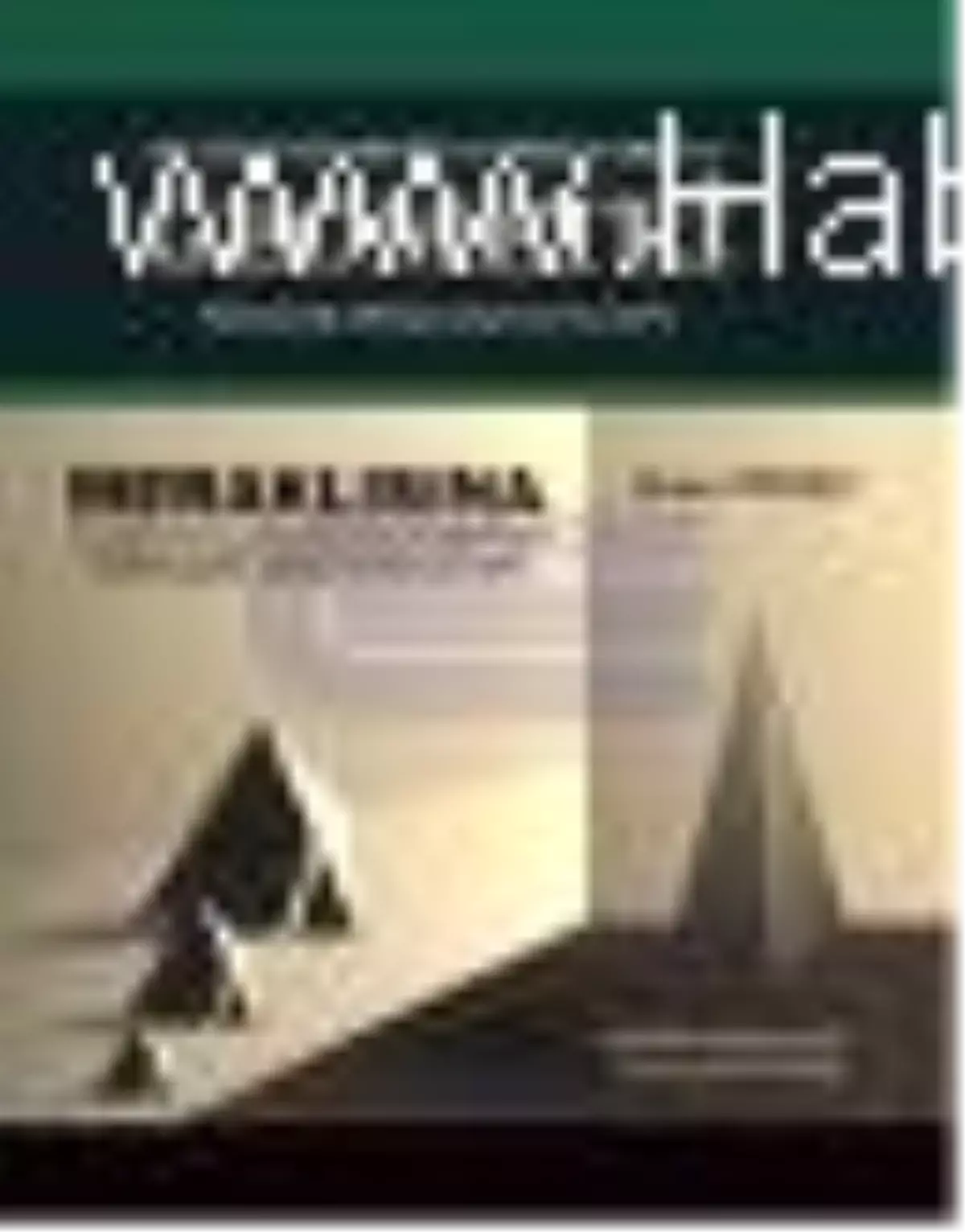 100 Yılın Olimpiyat Sorularıyla Geometri Kitabı