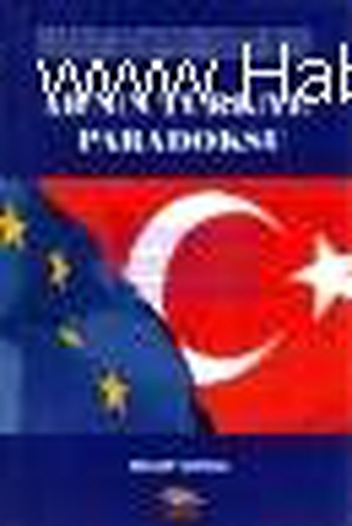 AB\'nin Türkiye Paradoksu Kitabı