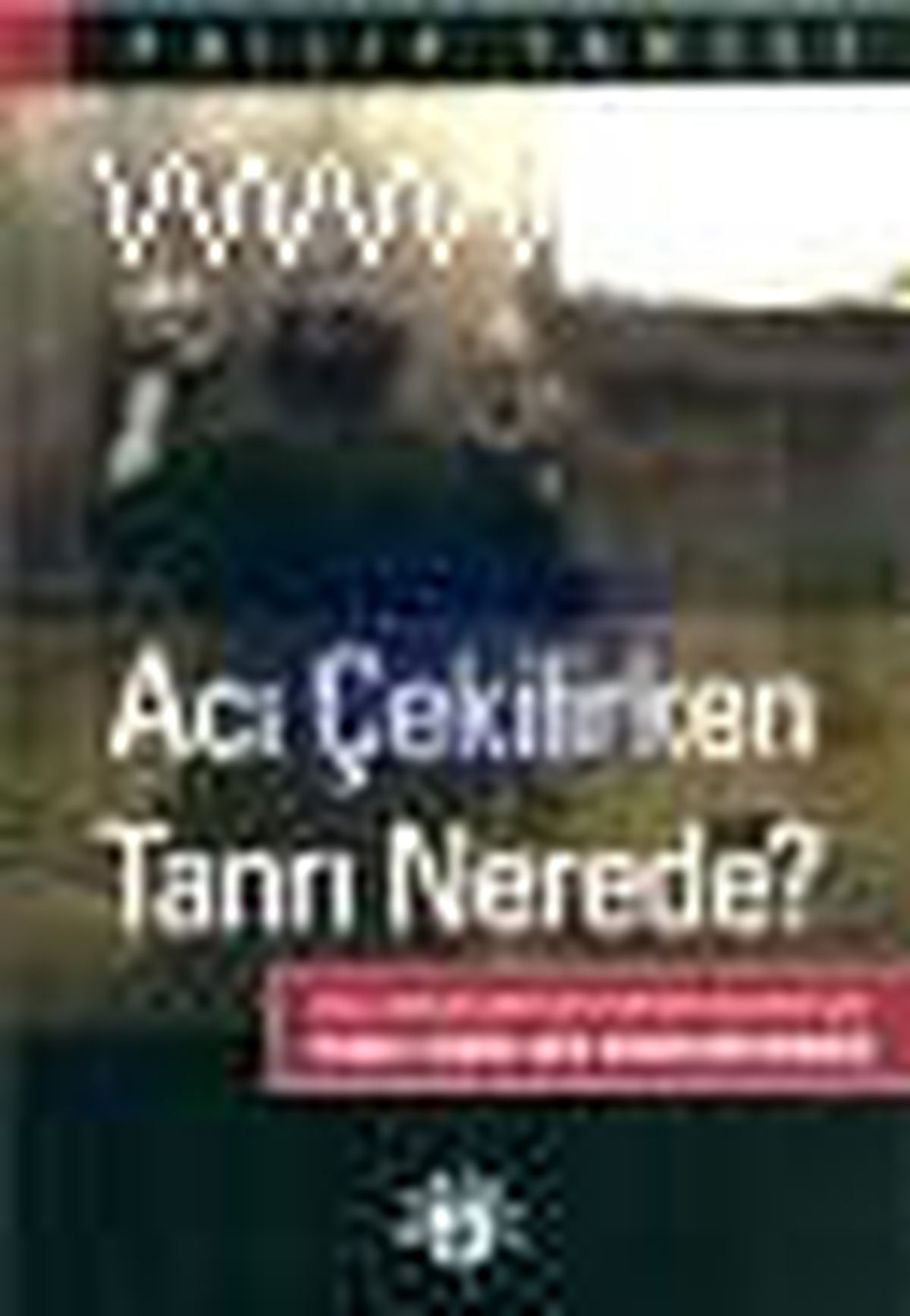 Acı Çekilirken Tanrı Nerede? Kitabı