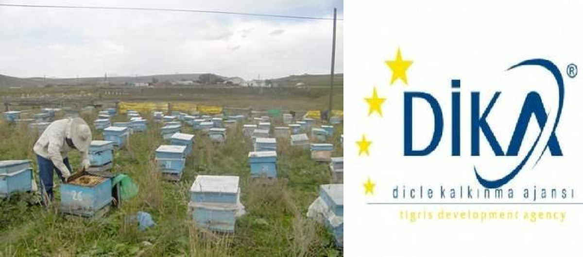 Arıcılık Projesine Destek
