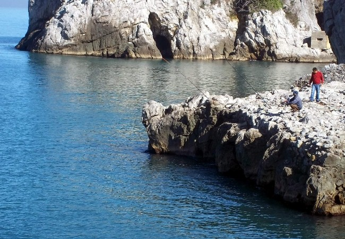 Durulan Karadeniz Kıyı Balıkçılarını Sevindirdi