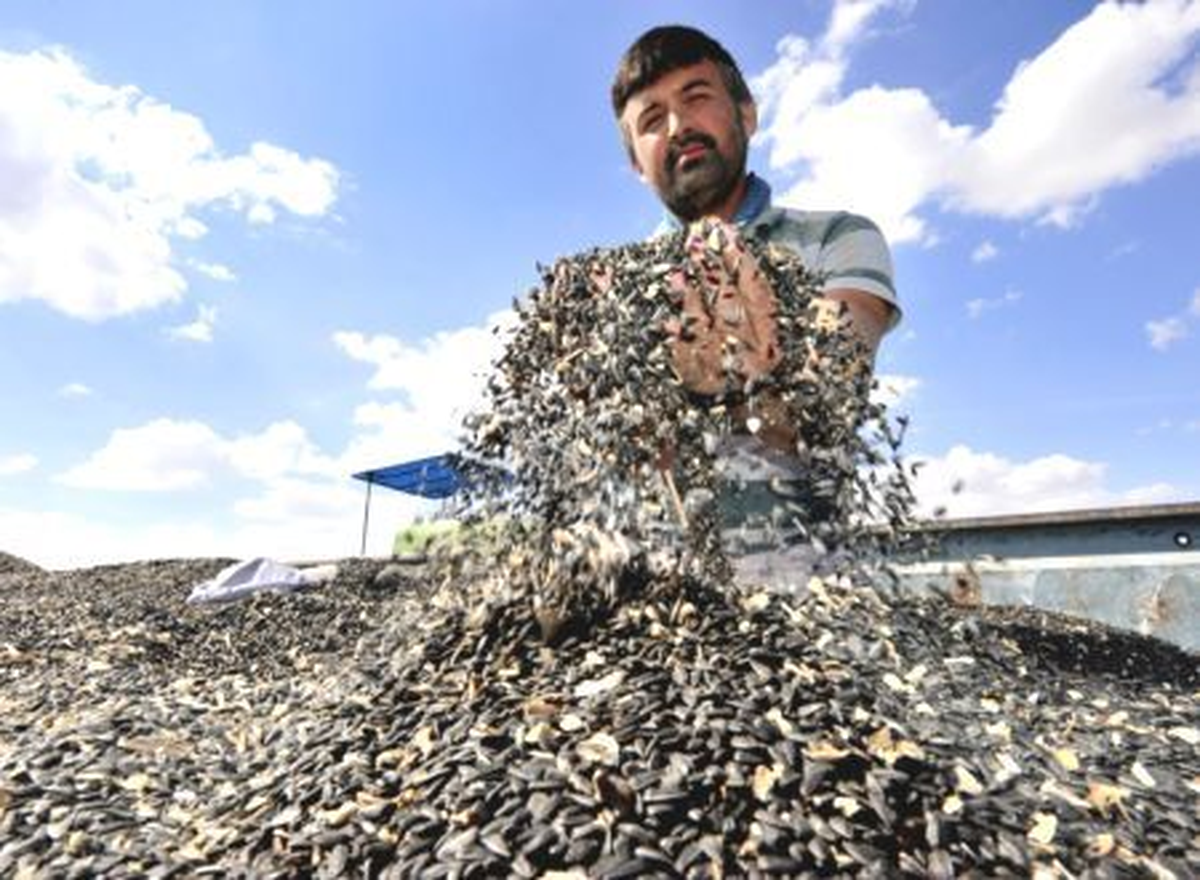 Edirne Ticaret Borsası