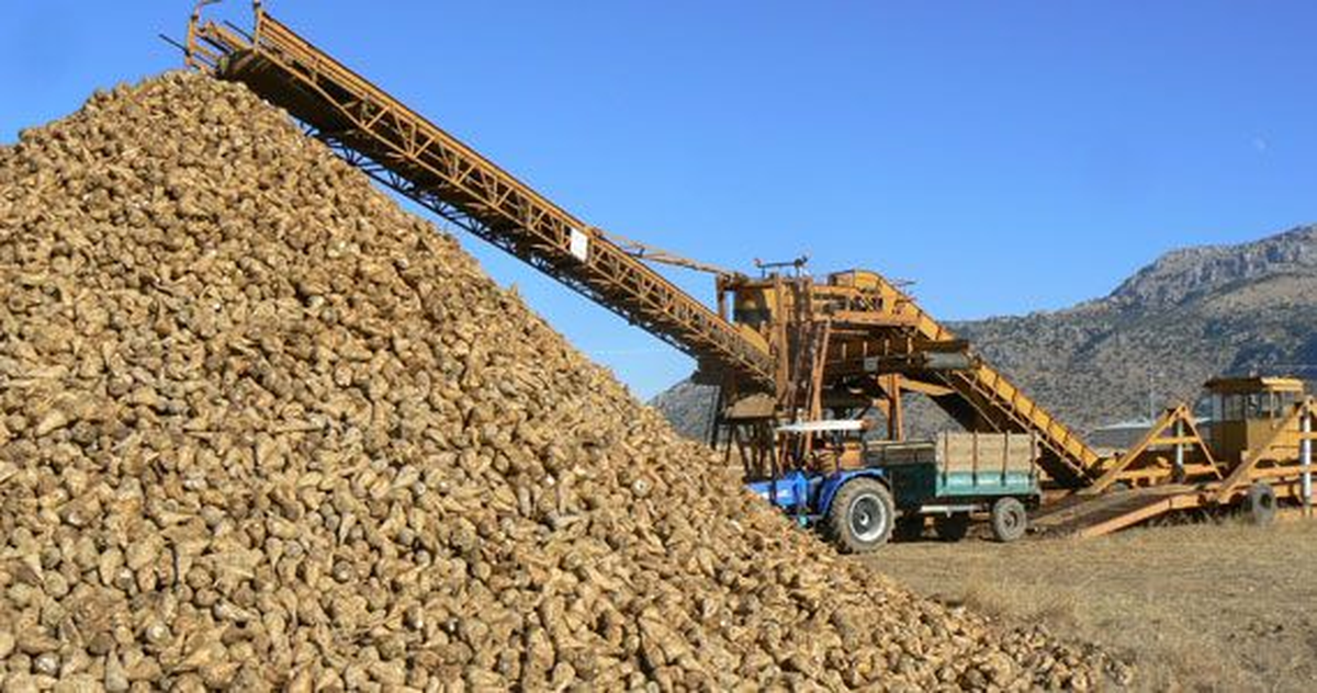 Elbistan Şeker Fabrikası Bir Ayda 171 Bin 711 Ton Pancar Aldı