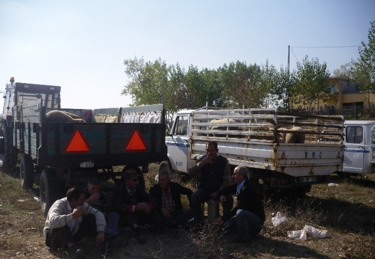 Kurban Satıcıları Memnun Değil