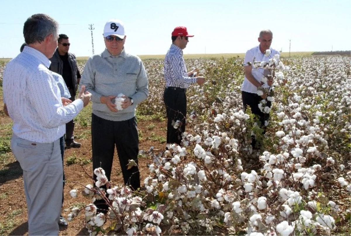 Mardin Valisi Cengiz Çiftçileri Ziyaret Etti