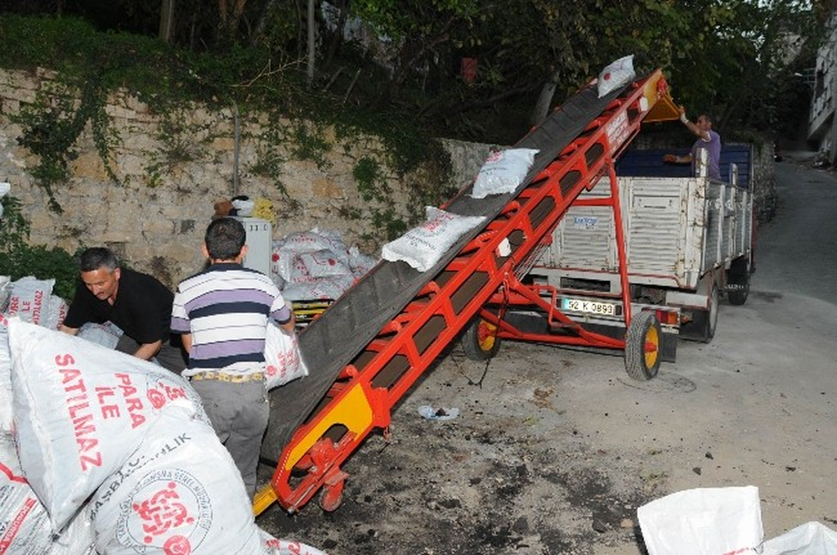 Ordu\'da 6 Bin 667 Aileye Kömür Yardımı