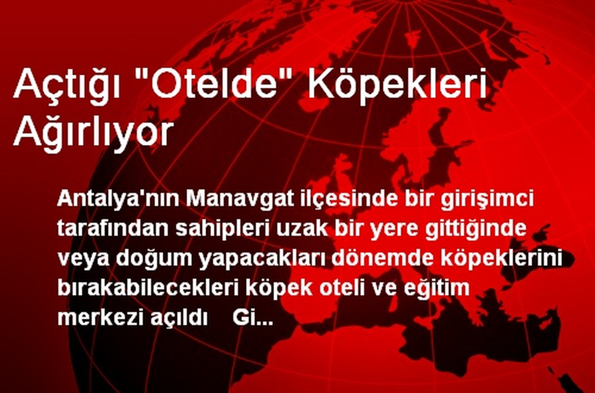 Açtığı "Otelde" Köpekleri Ağırlıyor
