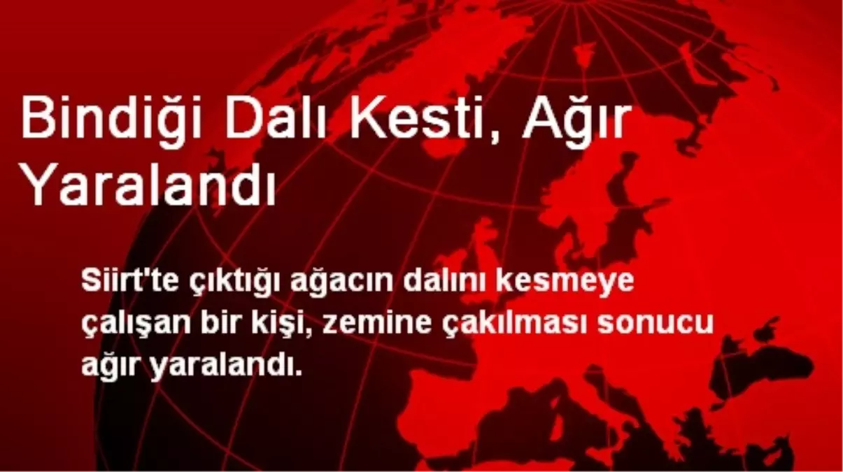 Siirt'te Bindiği Dalı Kesen Adam Ağır Yaralandı