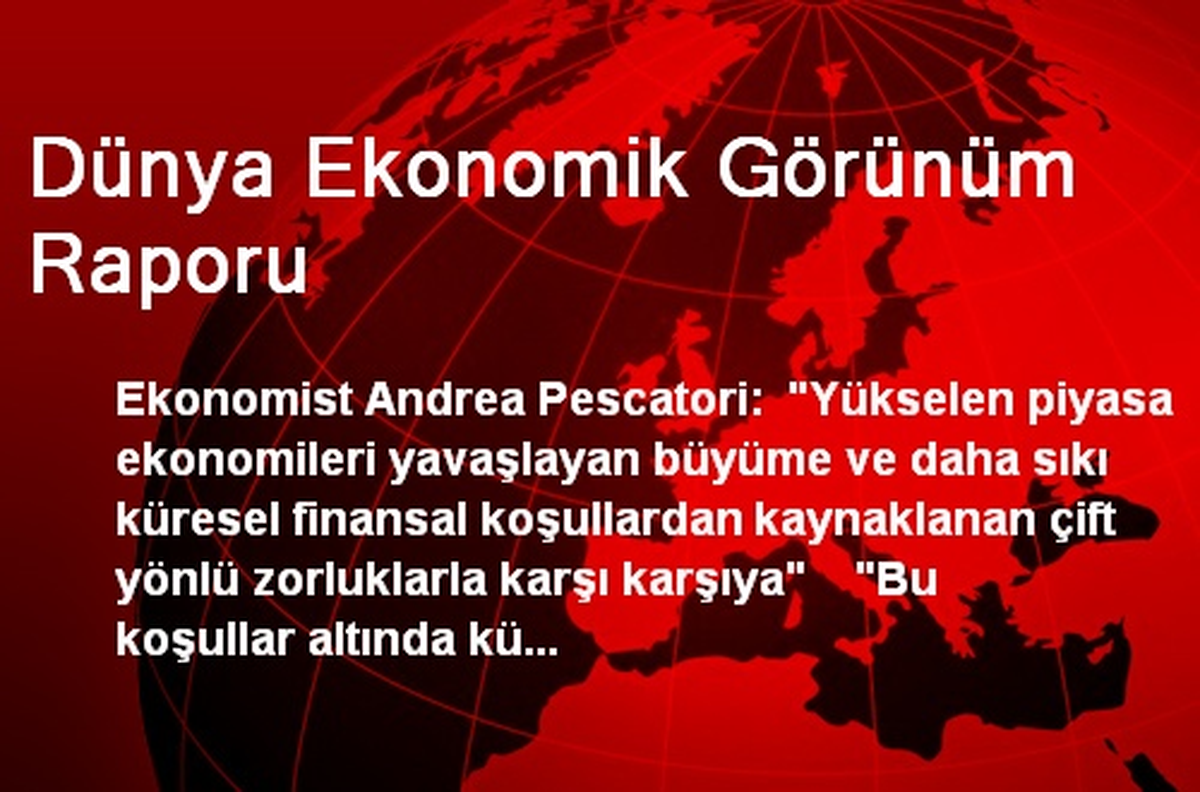 Dünya Ekonomik Görünüm Raporu